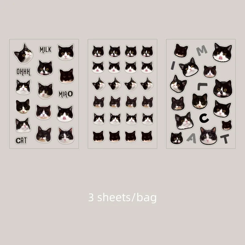 Cat Head Meme Stickers Set