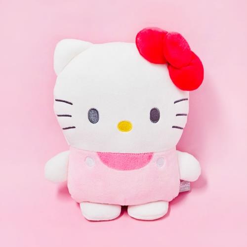 Sanrio Sleeping Cushion