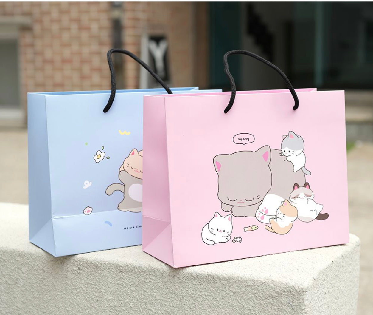 Nyang Gift Bag