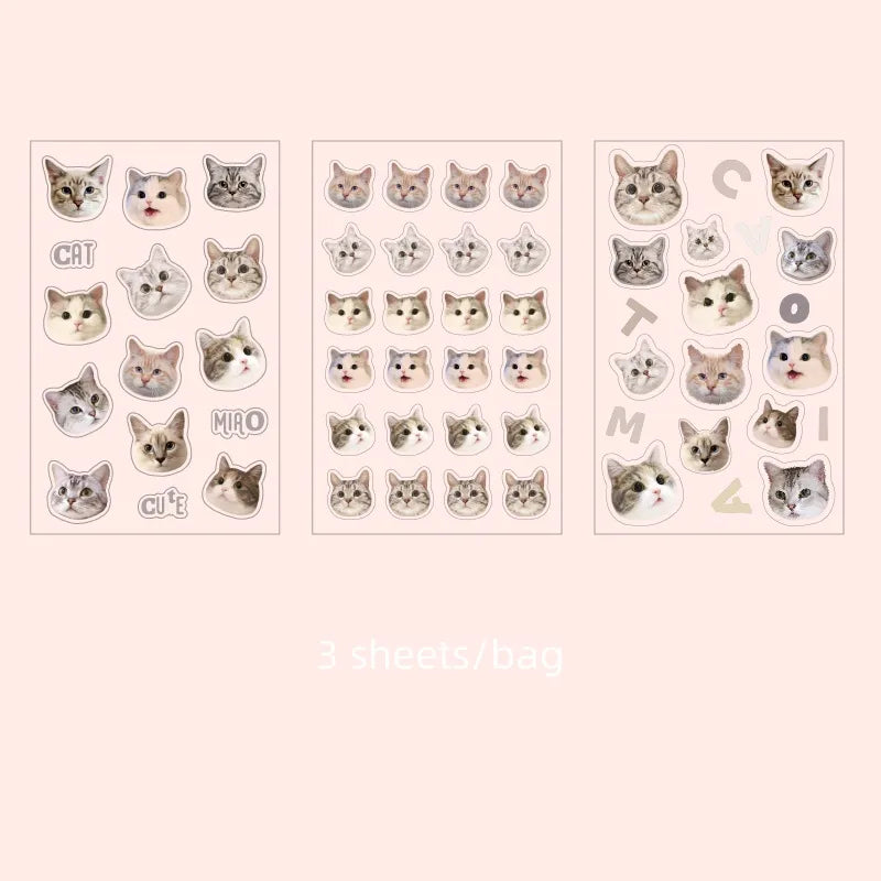 Cat Head Meme Stickers Set