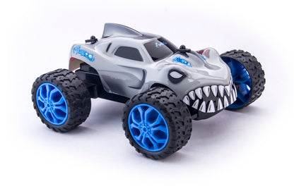 Remote Control Racing Car Set