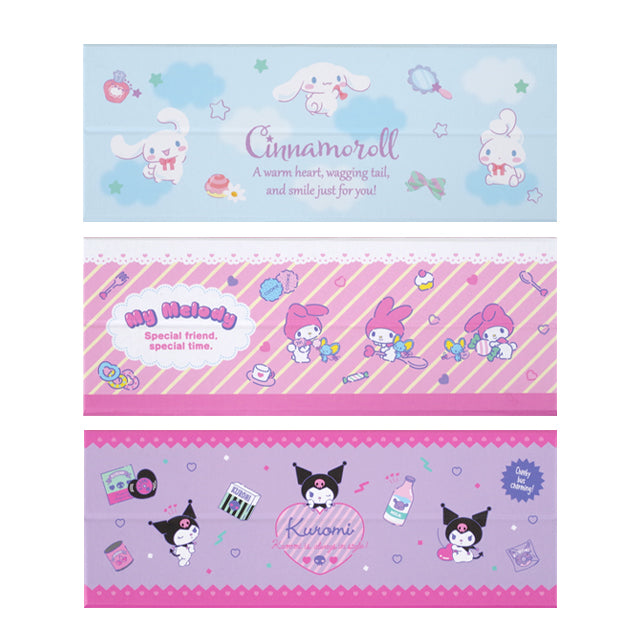 Sanrio Pencil Case with Mirror